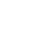 Commodity declaration